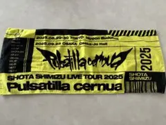 2025年最新】清水翔太 タオルの人気アイテム - メルカリ