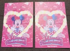 ミニー パルパルーザ グリーティングカード ディズニーランド