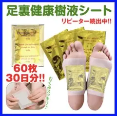 足裏樹液シート 休足シート 60枚 むくみ 足裏シート 旅行 個包装 健康のサムネイル