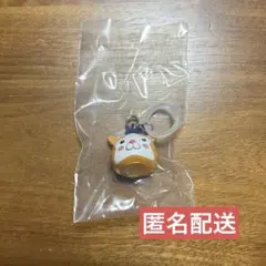 【スターマン】プロ野球マスコット めじるしアクセサリー