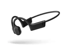 Item thumbnail for item 543feff8-2173-43e7-9faa-2e037378d641