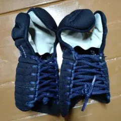 Item thumbnail for item f0d41d9b-f547-460e-bff5-c0520da065db