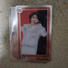 Stray Kids スキズ ランダムライブフォトカード アイエン