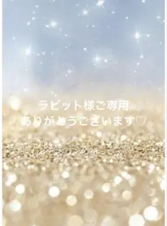 ラビット様ご専用です