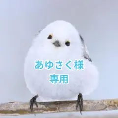 【2枚セット】ショートガードル XL 黒 シームレス 骨盤矯正 ダブルクロス