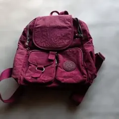 TEGAOTE リュック ワインレッド