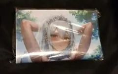 黒ギャル むちむち 爆乳 M字開脚 プレイマット 002