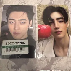 ソンフン ENHYPEN THE SIN:VANISH ユニバ フォトカード2枚