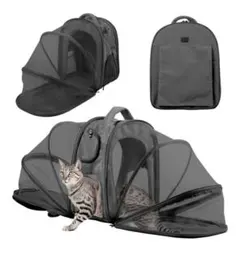 Item thumbnail for item 6ac61f47-6522-4fd7-a044-1e2fc5f49e55