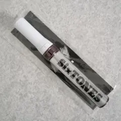 【14発色・黒】チェンエラ　ペンライト　SixTONES