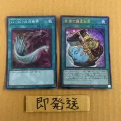 B855 金満で謙虚な壺　レリーフ ハーピィの羽根箒　スーパー　各1枚