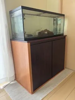 2025年最新】水槽 90 台の人気アイテム - メルカリ