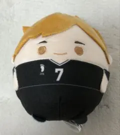 ハイキュー!! ぬいくじ ふわコロりん E賞 てのりんず 日向翔陽 - メルカリ