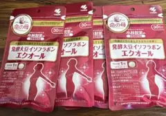 Item thumbnail for item 28799b26-d307-4a5c-a1db-40c327f03b47