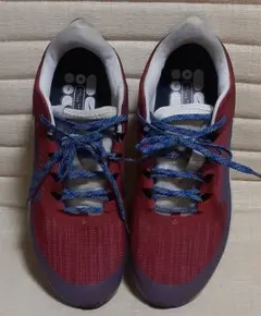 NIKE AIR Zoom スニーカー 赤/グレー