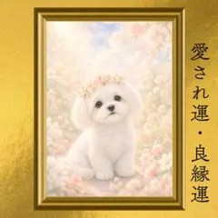 マルチーズ 愛され運・自己愛・幸福・良縁 開運アート 光の花冠 淡彩画