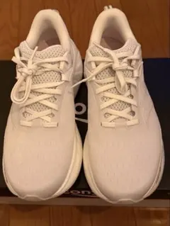 Item thumbnail for item c3dbdcab-fd4a-4bc9-bc94-70b66cd3112f