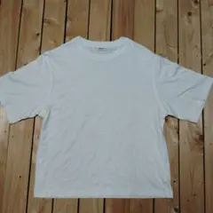 studio CLIP ホワイト Tシャツ Fサイズのサムネイル