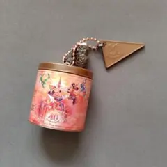 東京ディズニーリゾート 40周年記念 チョコレート缶キーホルダー