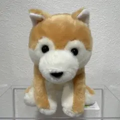 2026年最新】くったり柴犬の人気アイテム - メルカリ
