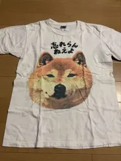 新品未使用 忘れらんねえよ Tシャツ 2015年大阪シャングリラ 2026年最新】忘れらんねえよ tシャツの人気アイテム - メルカリ