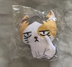 どうぶつぷちマスコットぬいぐるみ2　孤爪研磨　ケンマネコ