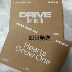 ALD1 シンロン DICON D'PARTMENT 特典トレカ 写真集 - メルカリ