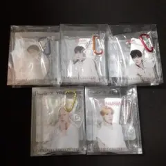 ShionLe × TREASURE トレジャー　クリアポーチ　ラミナリア