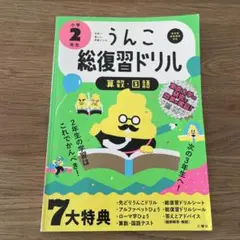【途中まで】うんこ総復習ドリル 小学2年生 算数・国語