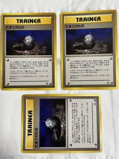 TRAINER たまごの化石