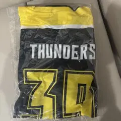 群馬クレインサンダーズ　スペシャルホッケーシャツ　未開封　フリーサイズ