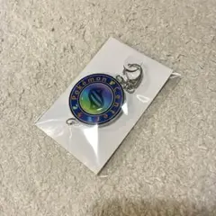 ポケモン　ポケモンセンター　メガシンカ　キーホルダー