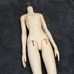 MYOUDOLL 1/3 Female Body