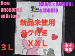 XXL☆新品☆UNIQLO×KAWS＋WARHOL カウズ+ウォーホル UT2