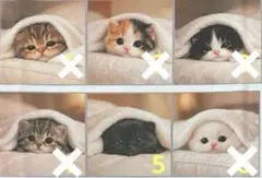 ハンドメイド♡オーダーページ【にゃんこ 27】