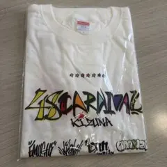 Item thumbnail for item 282c3258-541a-4cbb-a14d-33961482f562