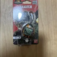 Item thumbnail for item c4331582-0084-4b6e-9b14-d05728151b7e