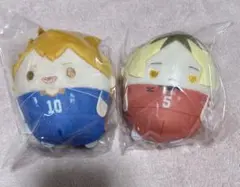 ハイキュー‼︎ふわコロりんD賞 日向、孤爪2体セット