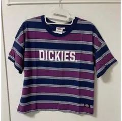 DICKIES ストライプ 半袖Tシャツ