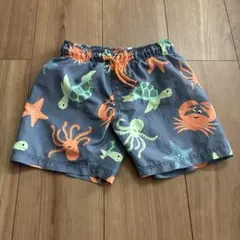 H&M 可愛い海の生き物柄 水着