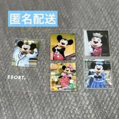 Item thumbnail for item 52fc9c5e-1d24-4482-ac36-1a7c6011135c