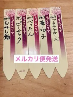 2026年最新】おらいさん苗の人気アイテム - メルカリ