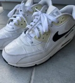 Item thumbnail for item 89e893ab-4371-460a-9a88-3cc3e69029cc