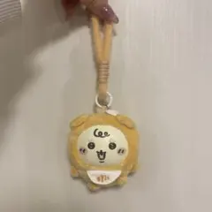 치이카와 ベビー 시사 きらめっこChiikawa Baby Kiramekko