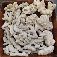 Indy様 リクエスト 5点 まとめ商品