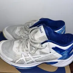 Item thumbnail for item 198ae529-f6ac-4f27-b58c-22de80403f4d