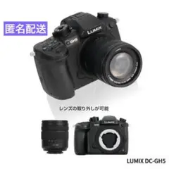 LUMIX DC-GH5 ミニチュアコレクション ケンエレファント ガチャガチャ