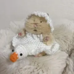 はむにぎり専用 白鳥 ハンドメイド 編みぐるみ 即購入OK wp