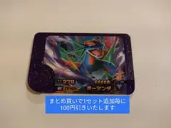 ボーマンダ　ポケモンフレンダ　スーパートレジャー