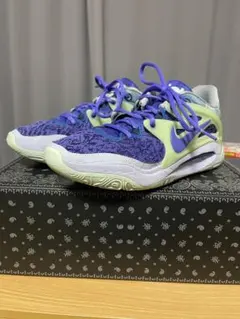 Item thumbnail for item c2286cca-2996-43d9-afb0-06678164b33e